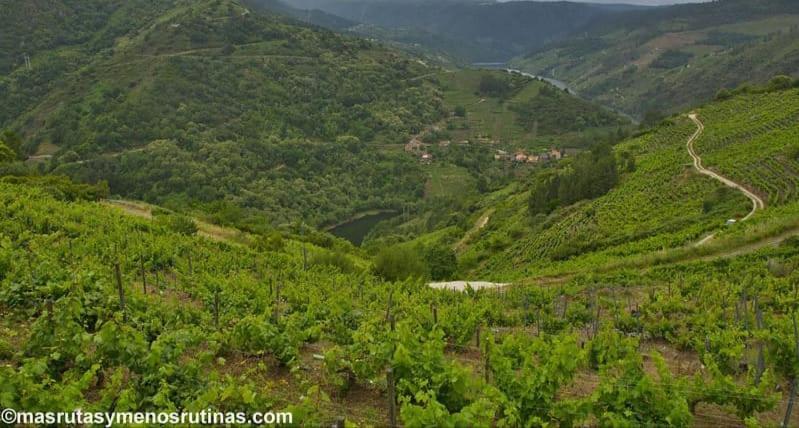 شقة Cristosende  في Balcon Da Pena Da Moura المظهر الخارجي الصورة